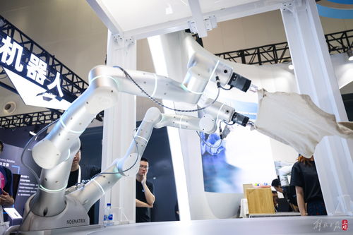 共商人工智能未來 世博展覽館再掀AI熱潮，聚焦人工智能基礎軟件開發